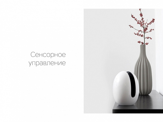 Портативная колонка Mysound EVA с логотипом в Белгороде заказать по выгодной цене в кибермаркете AvroraStore