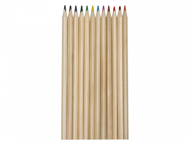 Набор из 12 трехгранных цветных карандашей «Painter» с логотипом в Белгороде заказать по выгодной цене в кибермаркете AvroraStore