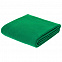 Флисовый плед Warm&Peace, зеленый с логотипом в Белгороде заказать по выгодной цене в кибермаркете AvroraStore
