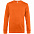 Свитшот унисекс King, оранжевый с логотипом в Белгороде заказать по выгодной цене в кибермаркете AvroraStore